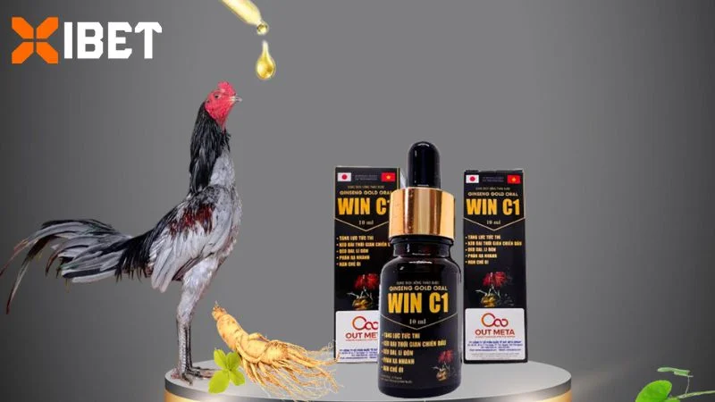 3 ngày đầu nên tập trung kích lực toàn diện cho gà chọi